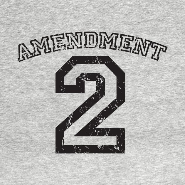 2nd Amendment Jersey by MikesTeez